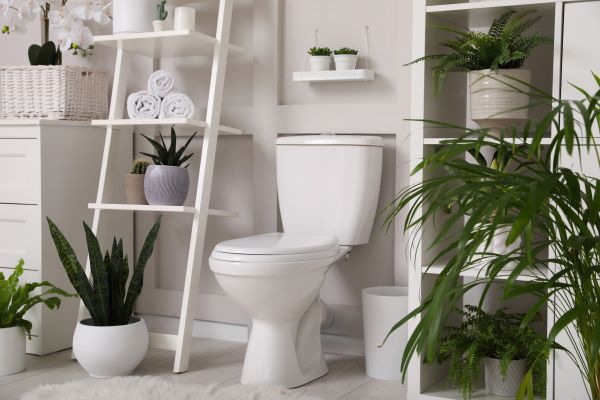 Cost of Toilet Repair in Conroe