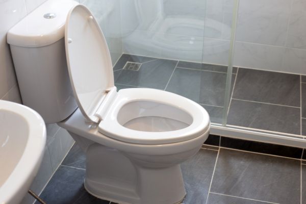 Cost of Toilet Replacement in Conroe
