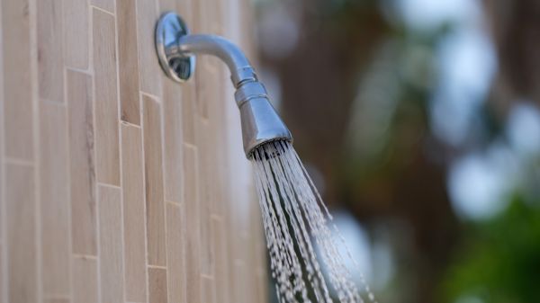 Cost of Showerhead Repair in Conroe