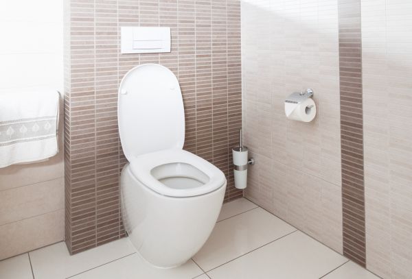 Cost of Toilet Plumbing Installation in Conroe